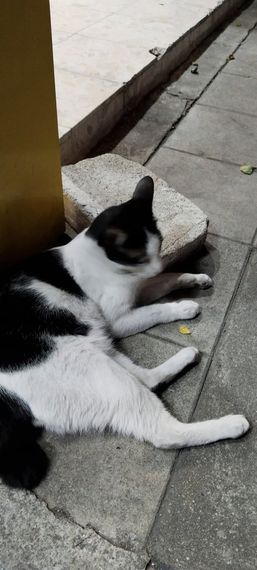 แชท หาแฟน, หากิ๊ก  ที่อยู่ กรุงเทพมหานคร