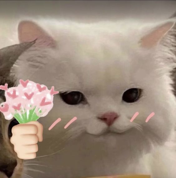 chat chat, single  from Kalasin