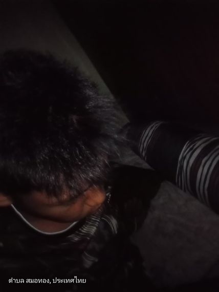 แชท หาเพื่อนคุย  ที่อยู่  สุราษฎร์ธานี