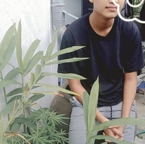 chat looking for friends 