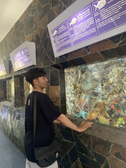 แชท หาเพื่อนคุย 