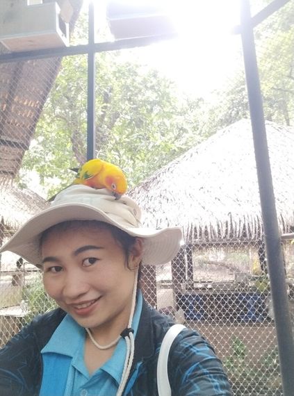 แชท หาเพื่อนคุย