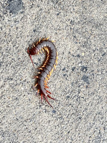 แชท โสด  ที่อยู่  สมุทรปราการ