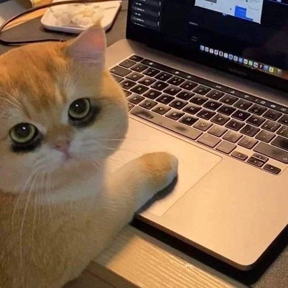 แชท หาเพื่อนคุย, หากิ๊ก 