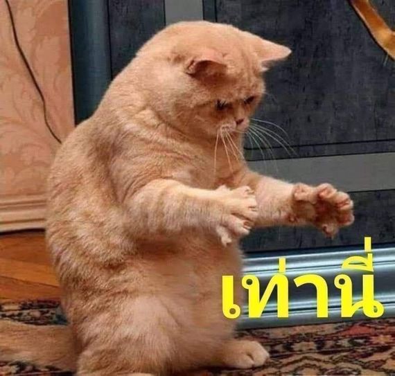แชท แชทเปิดกล้อง 