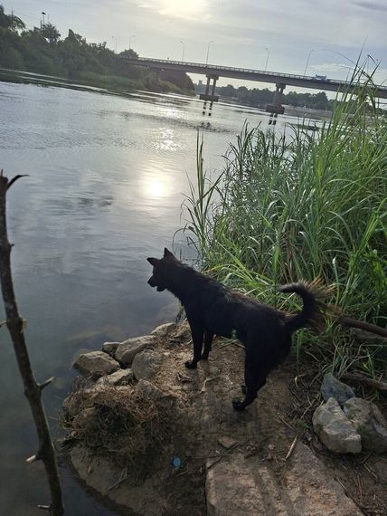 chat single  from Kanchanaburi