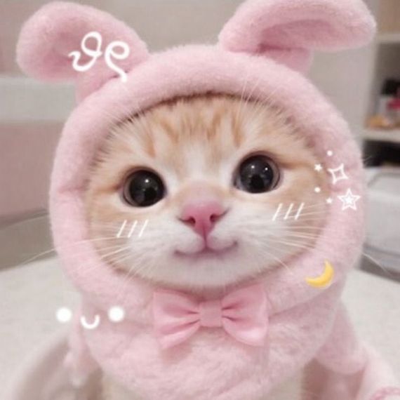 แชท หาแฟน, หาเพื่อนคุย 