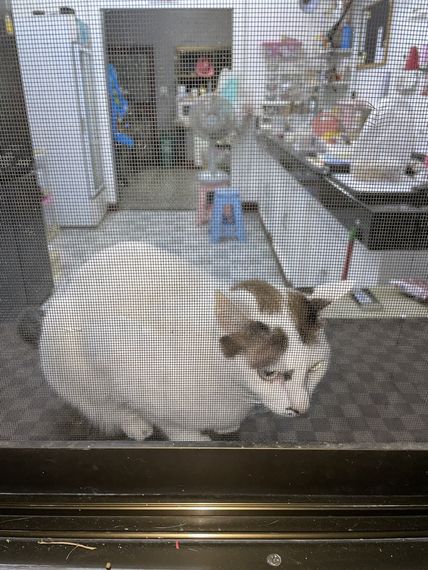 แชท หาเพื่อนคุย  ที่อยู่  เชียงใหม่