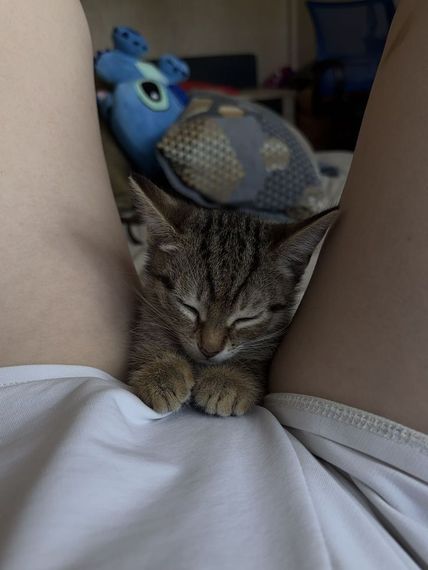 chat looking for friends 