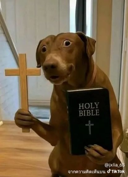 แชท แชทเปิดกล้อง  ที่อยู่  สมุทรปราการ