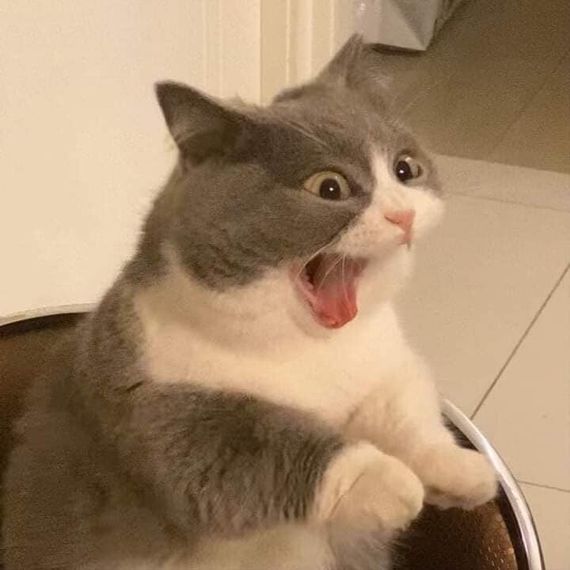 chat looking for friends 