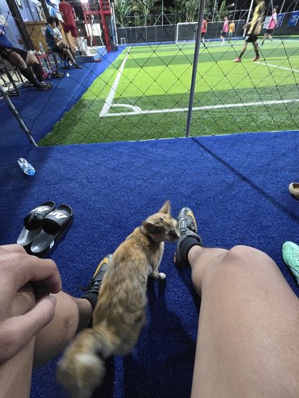 แชท หาเพื่อนคุย 