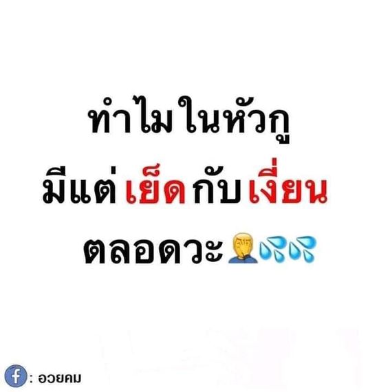 แชท หาแฟน, หาเพื่อนคุย  ที่อยู่ กรุงเทพมหานคร