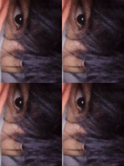 chat looking for friends 