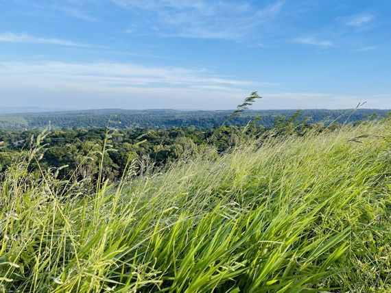 chat looking for friends 