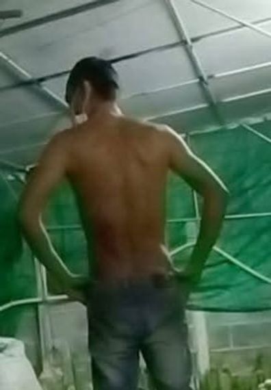 chat looking for friends 