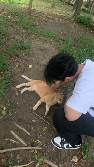 chat find 2nd love from Bangkok