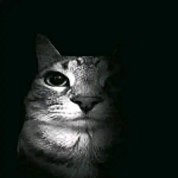 chat chat  from Phetchaburi