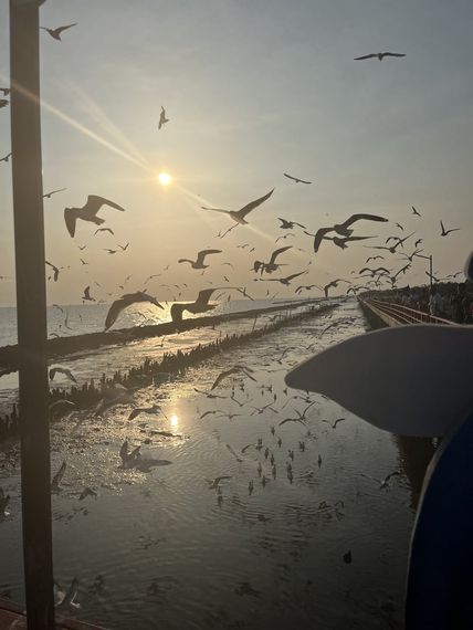 chat looking for friends