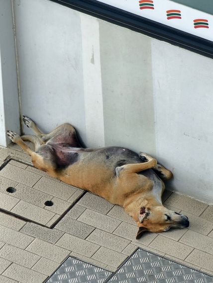แชท หาเพื่อนคุย, หาเพื่อนเที่ยว  ที่อยู่  นครปฐม