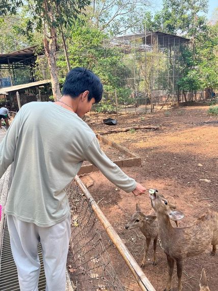 แชท หาเพื่อนคุย 