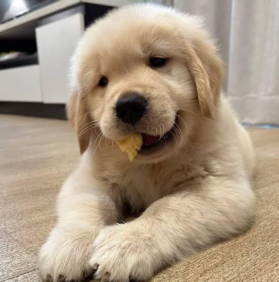 chat looking for friends 