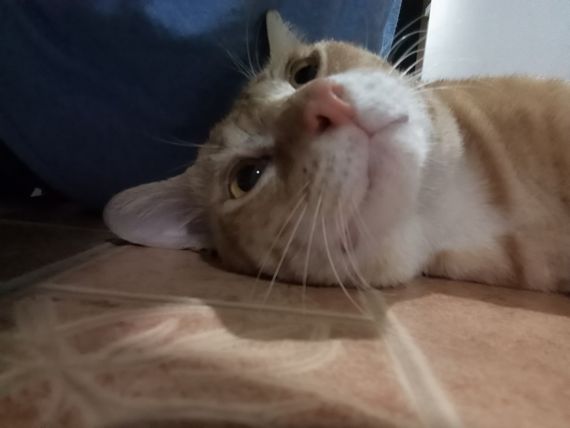 chat looking for friends 