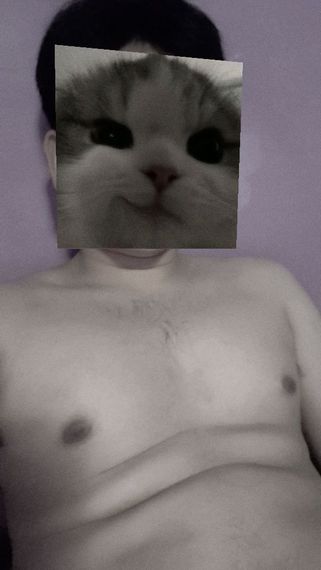 chat looking for friends 