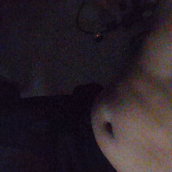 chat looking for friends