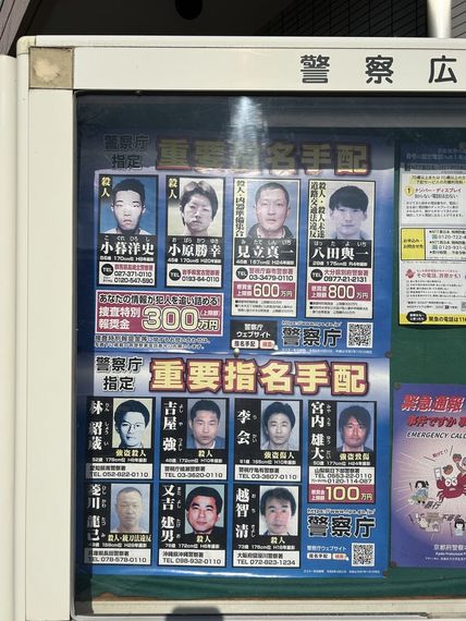 chat looking for friends 