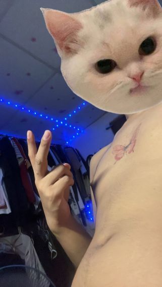 chat looking for friends 