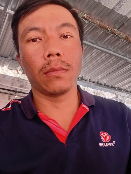 chat find love, single 