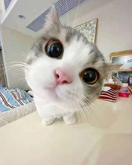 chat looking for friends