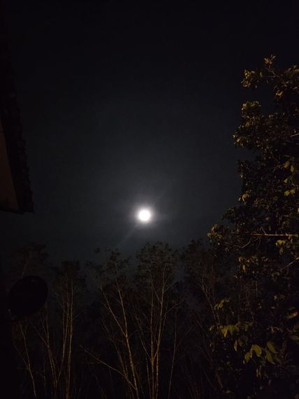 แชท หาเพื่อนไลน์, แชทเปิดกล้อง 