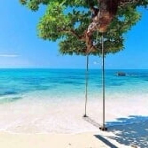 แชท หาแฟน 