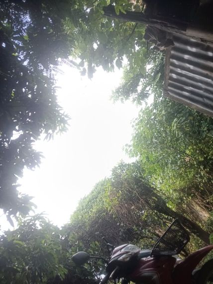 chat looking for friends  from Sukhothai