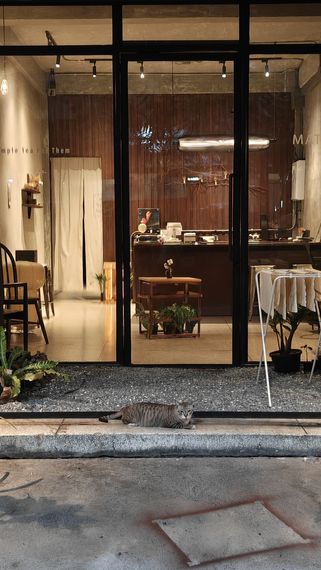 chat chat 