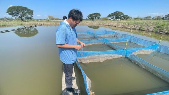 แชท หาเพื่อนคุย 