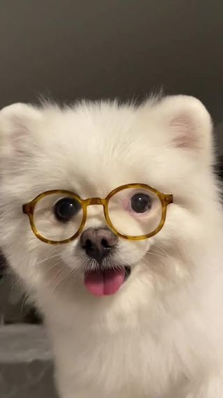 chat looking for friends 