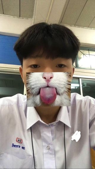 แชท หาเพื่อนคุย  ที่อยู่ กรุงเทพมหานคร