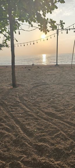 chat looking for friends 