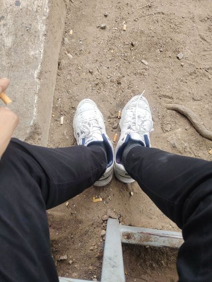 chat looking for friends 