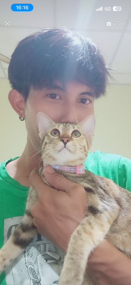 chat looking for friends 
