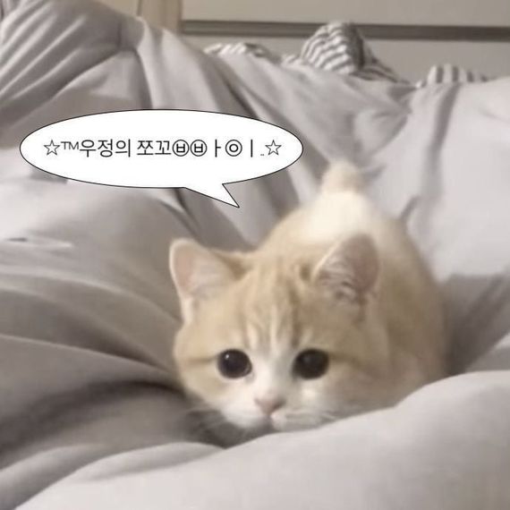 chat looking for friends 