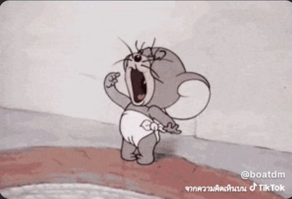 แชท หาแฟน, โสด  ที่อยู่ กรุงเทพมหานคร