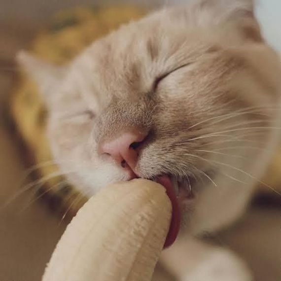 chat find love, chat  from Bangkok