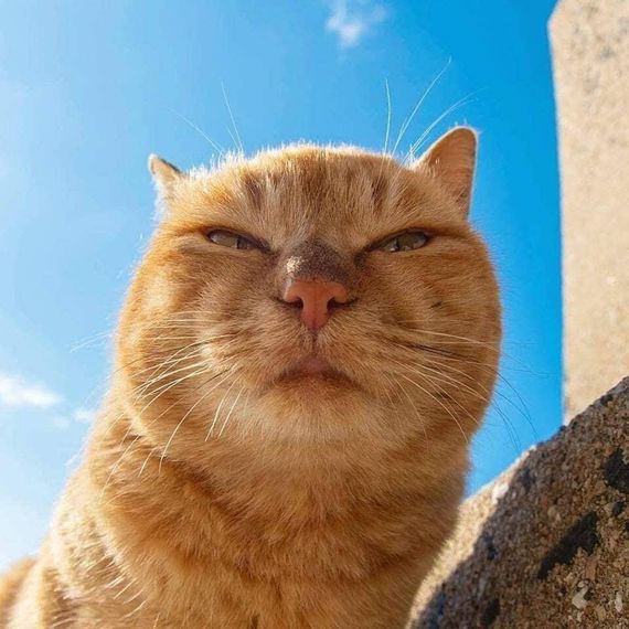 chat looking for friends 