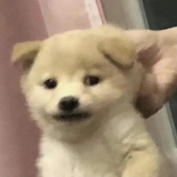 แชท หาเพื่อนคุย  ที่อยู่  สุรินทร์