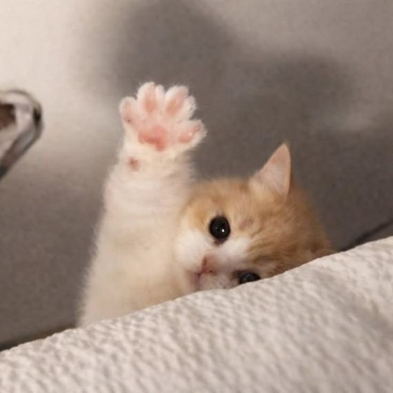 chat looking for friends 