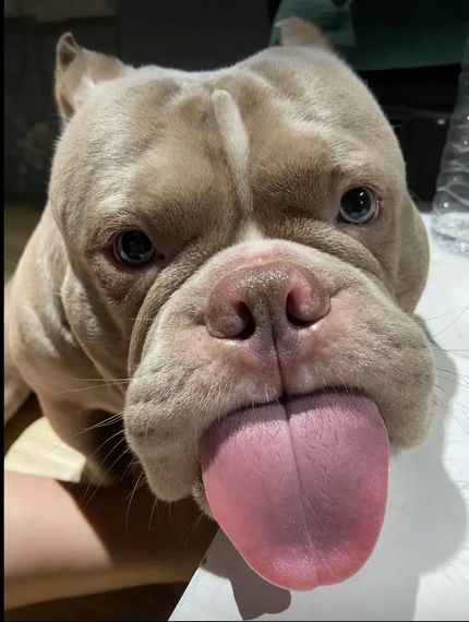 แชท หากิ๊ก, แชทเปิดกล้อง  ที่อยู่  ขอนแก่น